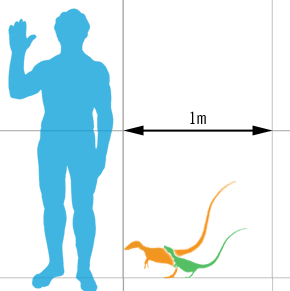Archivo:Sinosauropteryx scale