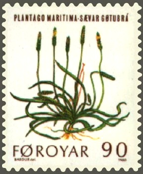 Archivo:Faroe stamp 042 mountain flowers (plantago maritima)