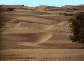 Archivo:Sechura duna gigante