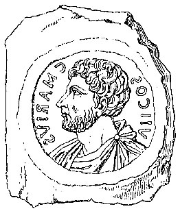 Archivo:Marius
