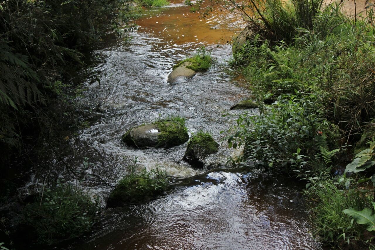 Río Chocó, Santa Rosa de Osos.jpg