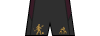 Kit shorts americadecali 2024-II T.png