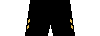 Kit shorts saintetienne2425t.png