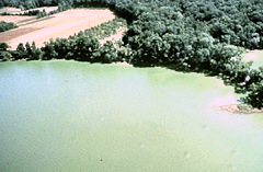 Archivo:Potomac river eutro