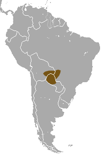Distribución del tití del Chaco