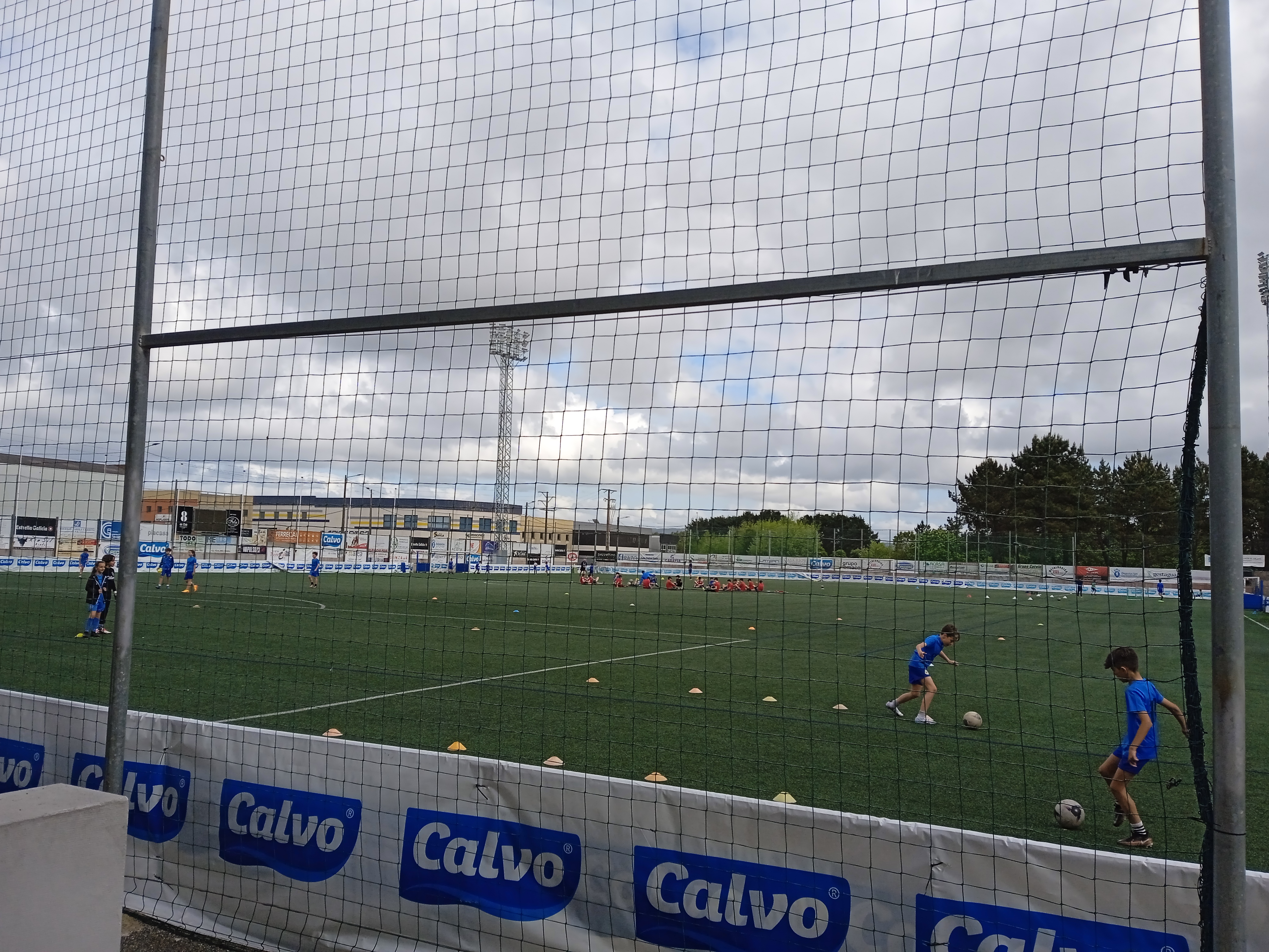 Campo das Eiroas, Carballo 2.jpg