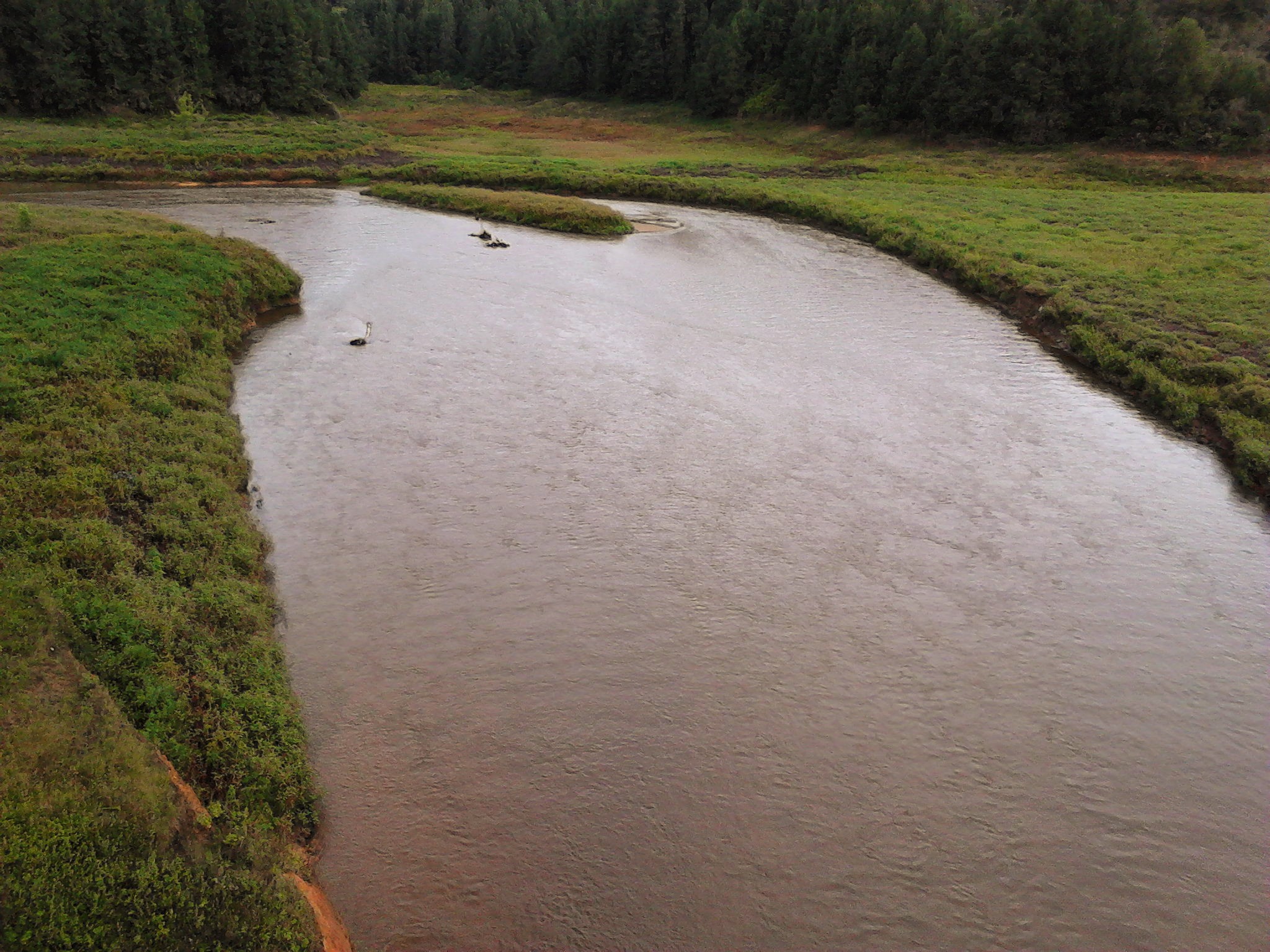 Río Grande (Antioquia) para Niños