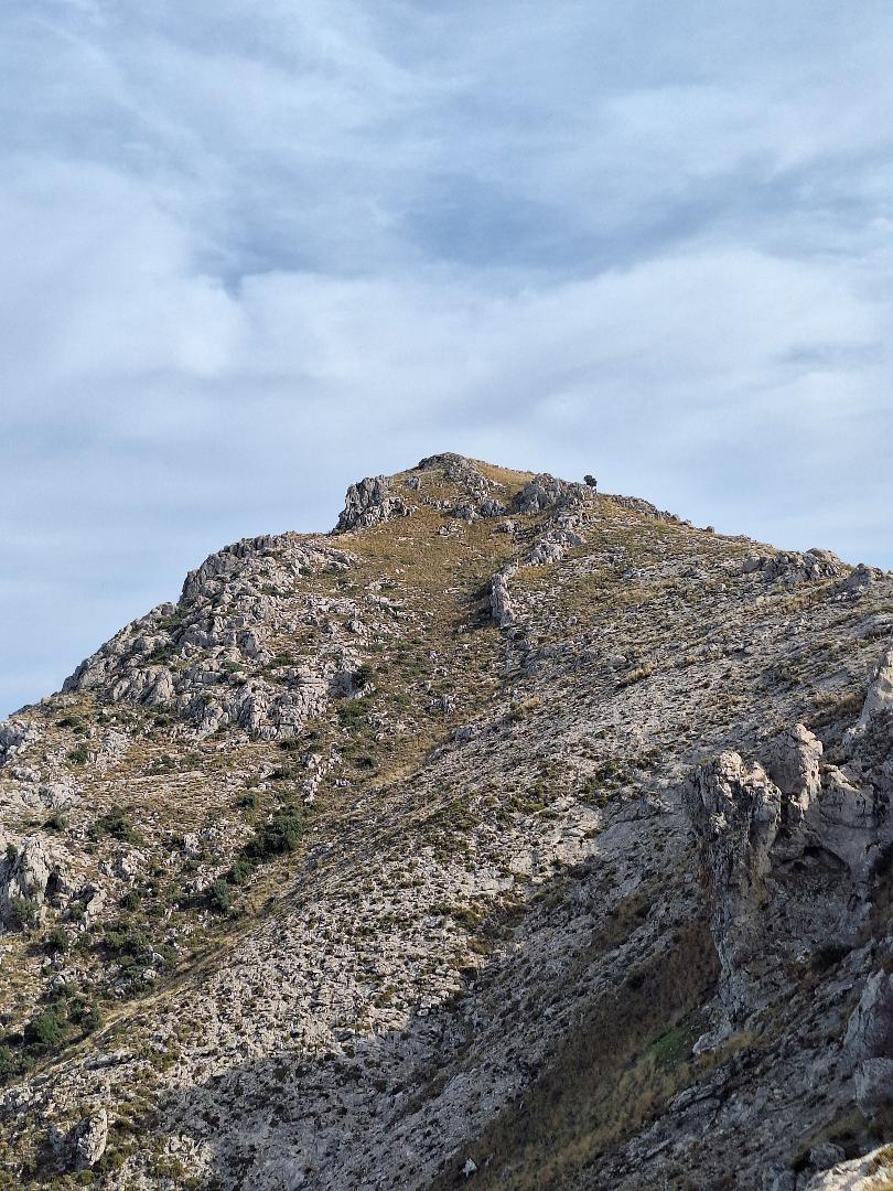PicoTiñosa