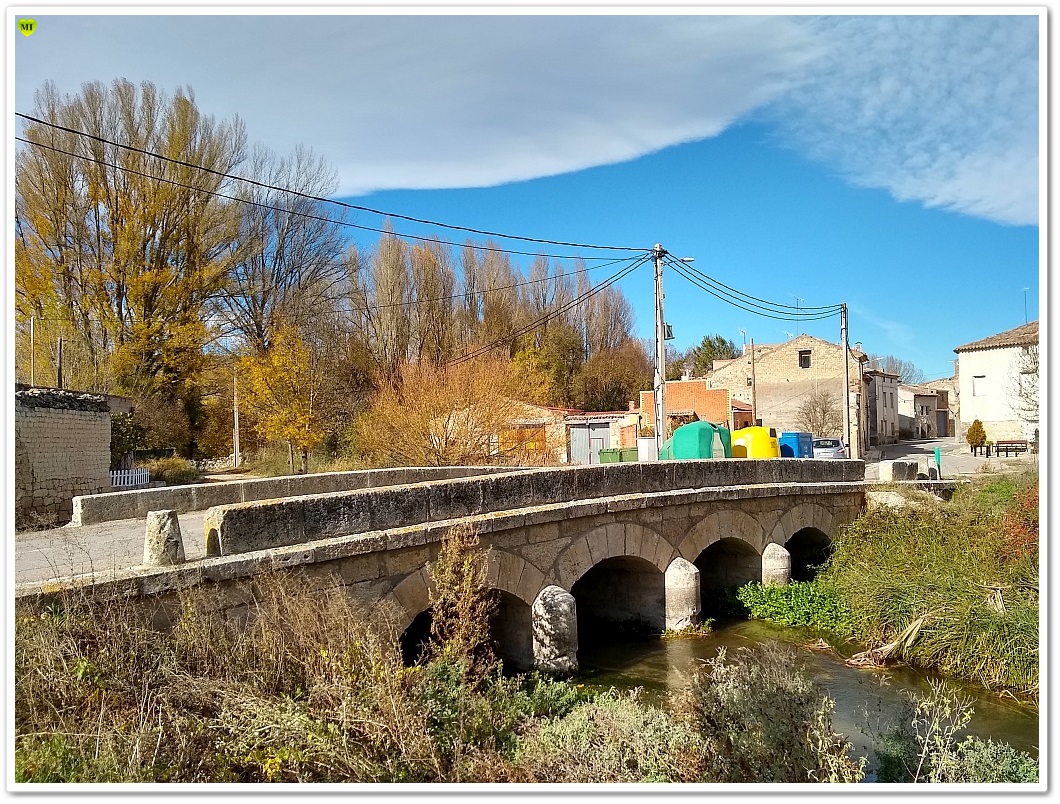 Cobos de cerrato 023 (Puente sobre el río Franco).jpg