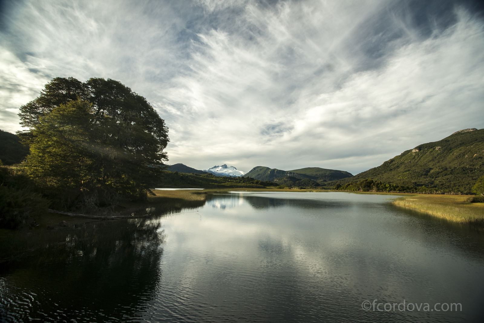 Lago hess y tronador al fondo.jpg