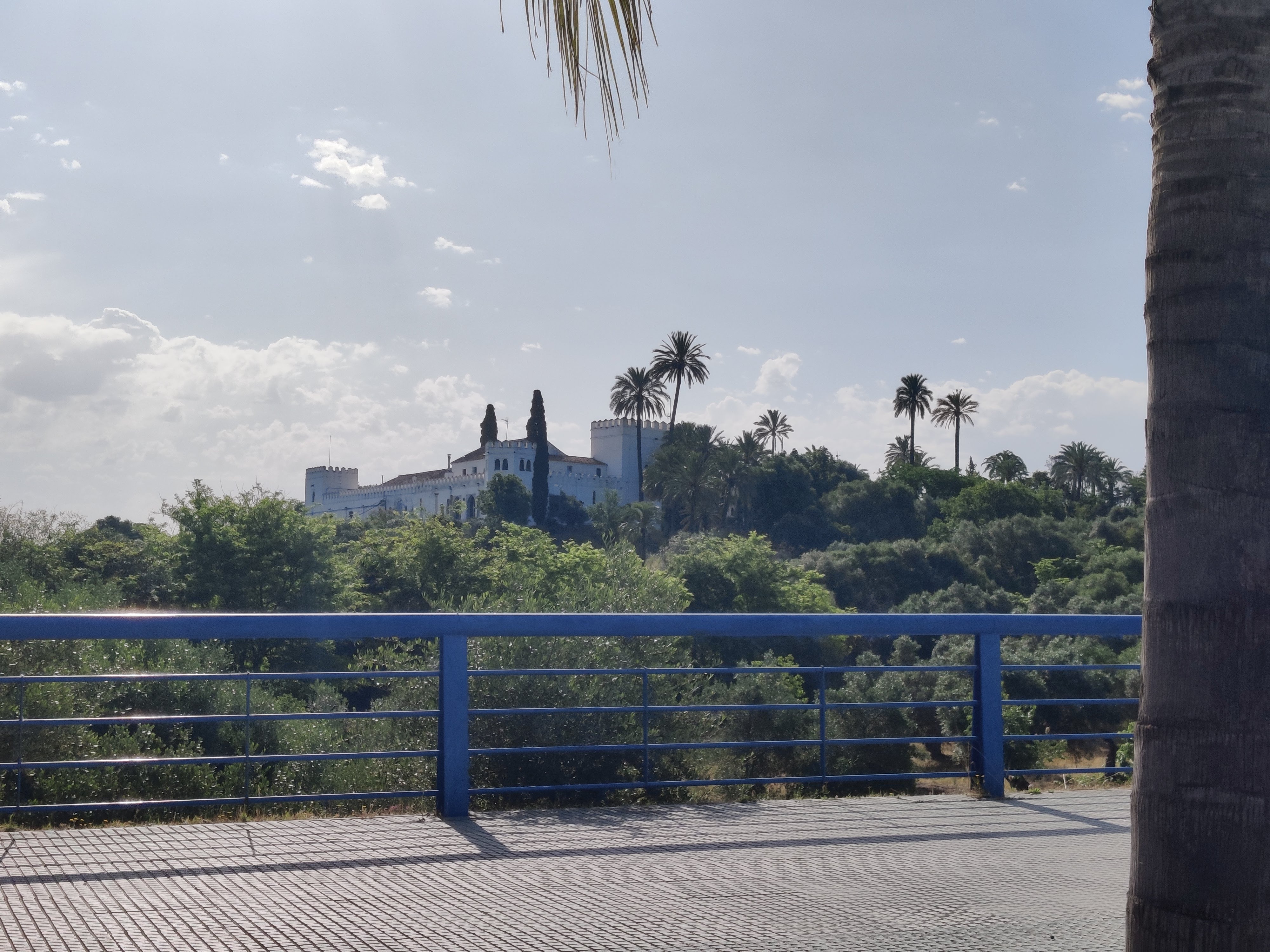 Hacienda Torre de Doña María - IMG 20250518 100557.jpg