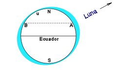 El Eje mayor del elipsoide de marea está dirigido hacia la Luna. Las dos pleamares diarias, vistas en una latitud de la Tierra, no presentan la misma amplitud.