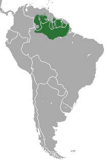 Distribución compartida de Chiropotes chiropotes y C. israelita.
