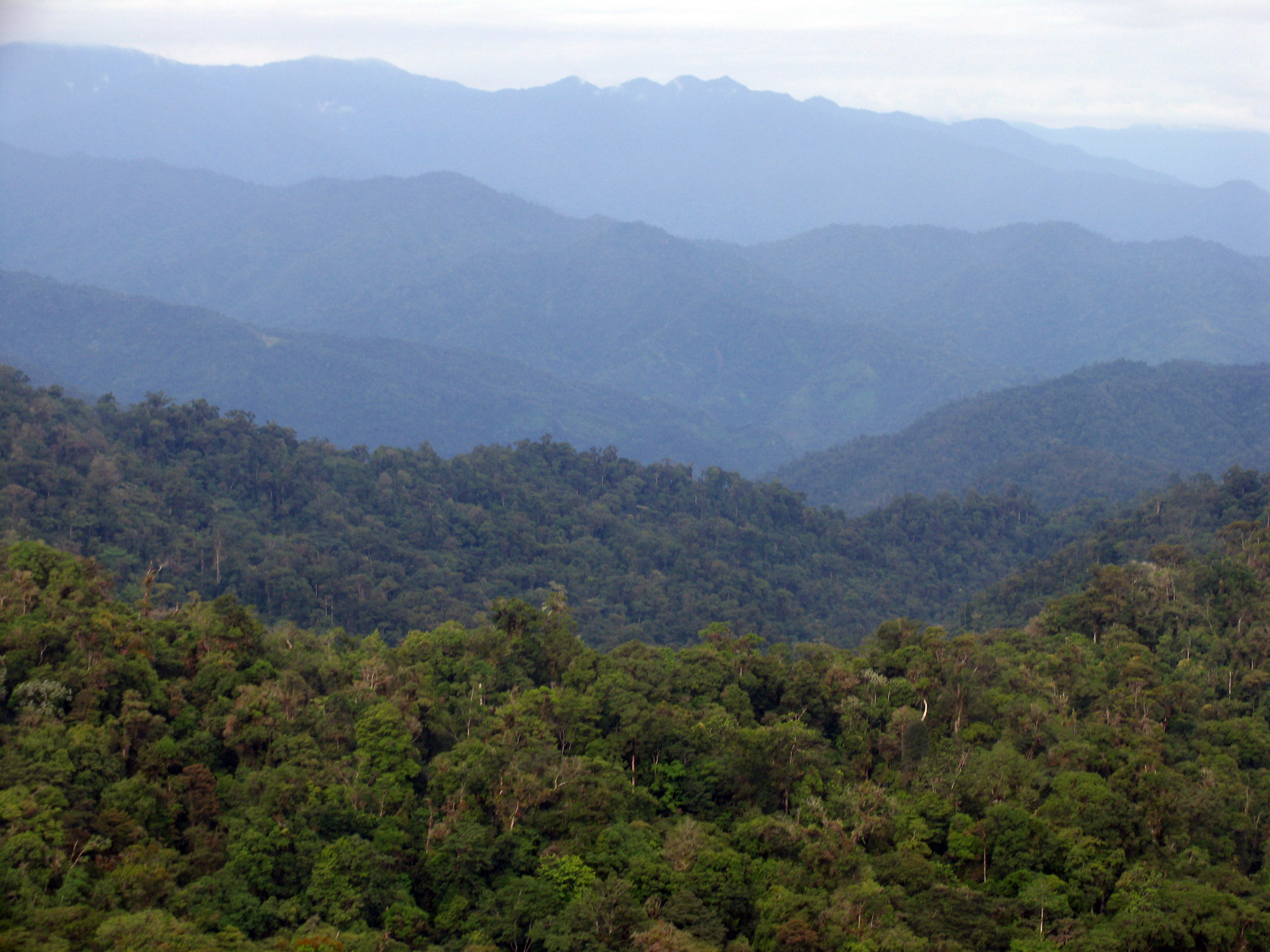 Talamanca_Range-La_Amistad_Reserves_La_Amistad_National_Park-109134
