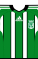 Kit body AtlNacional2011h.png