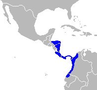 Distribución del Cebus capucinus