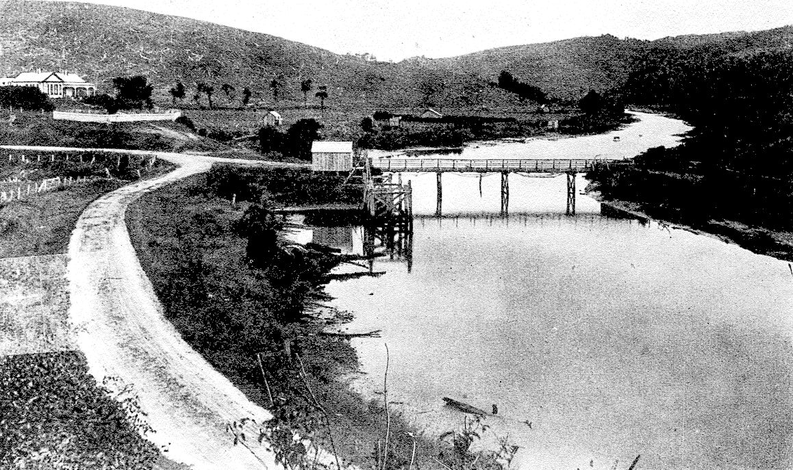 View towards Tahora, 1916.jpg