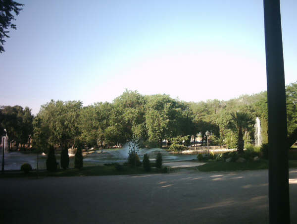 Parque de la Dehesa Boyal.jpg
