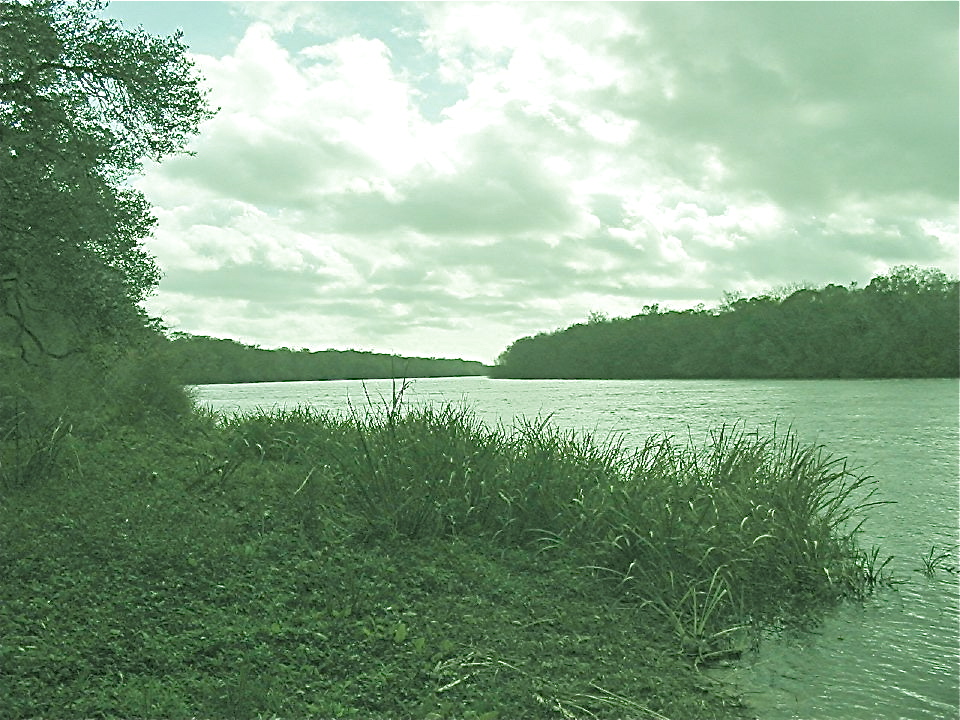Apalachicola River.jpg