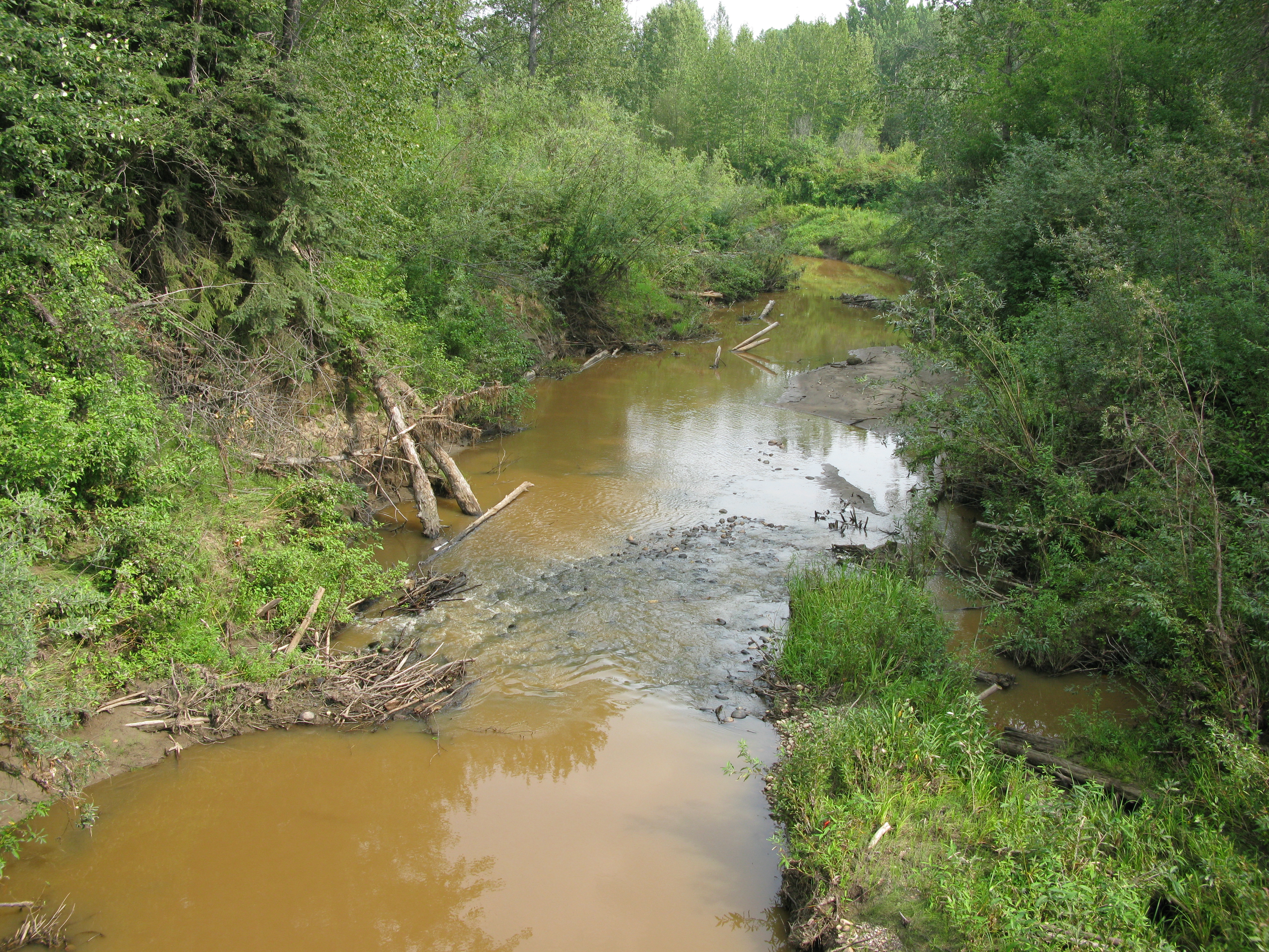 Assineau River AB 1.JPG