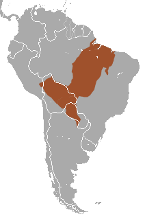 Área de distribución de A. azarae