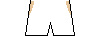 Kit shorts tigres2425t.png