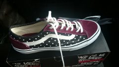 Archivo:Playeros Vans