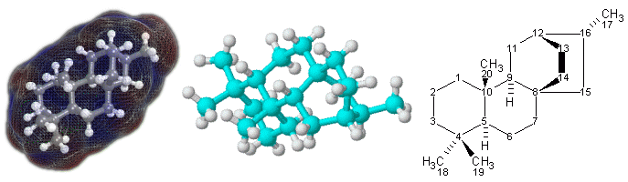 Figura 1.  Representaciones de la terpenoide, atisano, 3D (centro izquierda) y 2D (derecha). En el modelo 3D de la izquierda, los átomos de carbono están representados por esferas azules; las blancas representan a los átomos de hidrógeno y los cilindros representan los enlaces. El modelo es una representación de la superficies molecular, coloreada por áreas de carga eléctrica positiva (rojo) o negativa (azul). En el modelo 3D del centro, las esferas azul claro representan átomos de carbono, las blancas de hidrógeno y los cilindros entre los átomos son los enlaces simples.