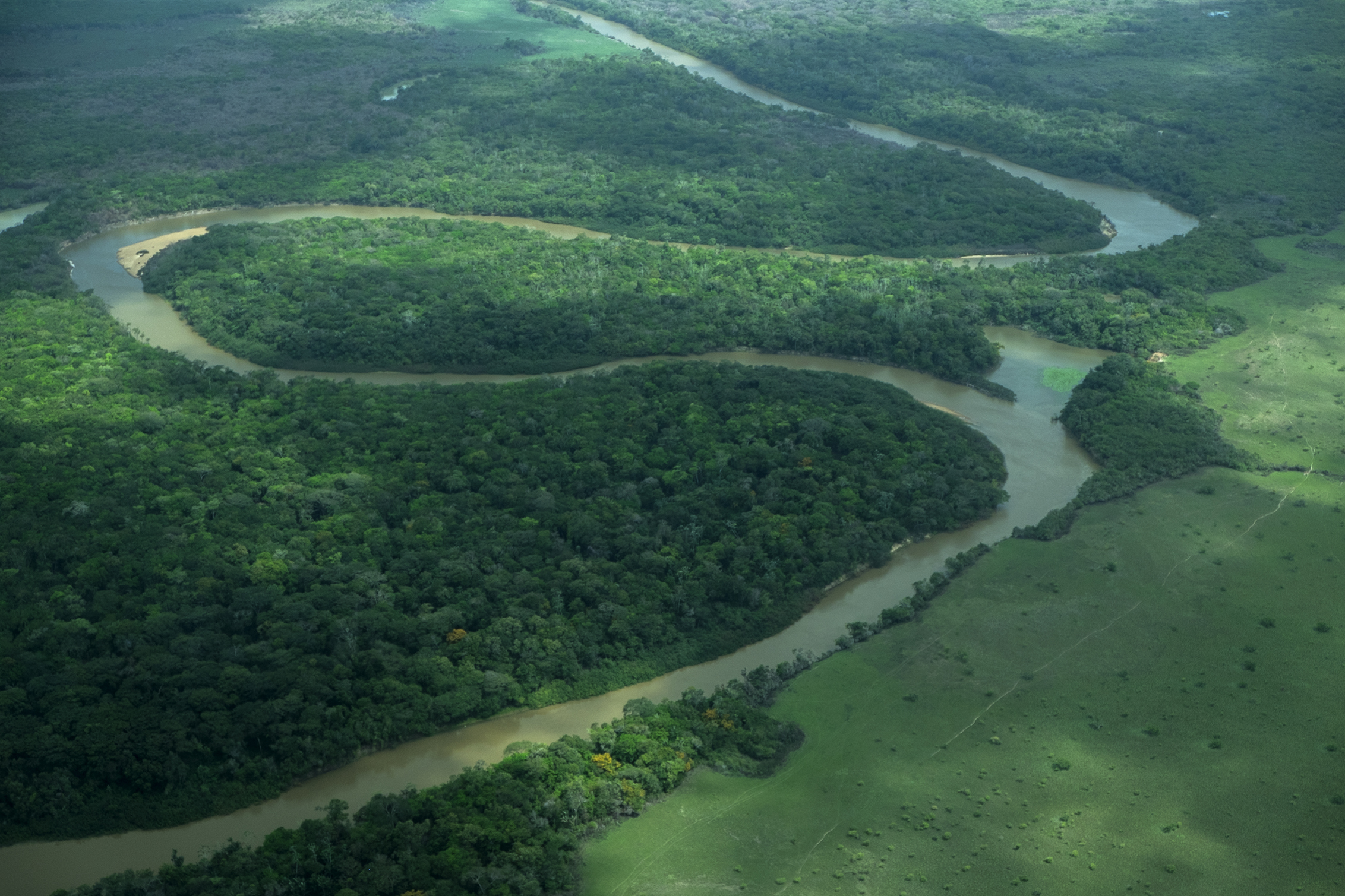 Rupununi River.jpg