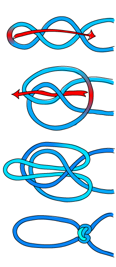 Archivo:Alpine butterfly knot diagram