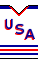 Kit body hockey USAa.png