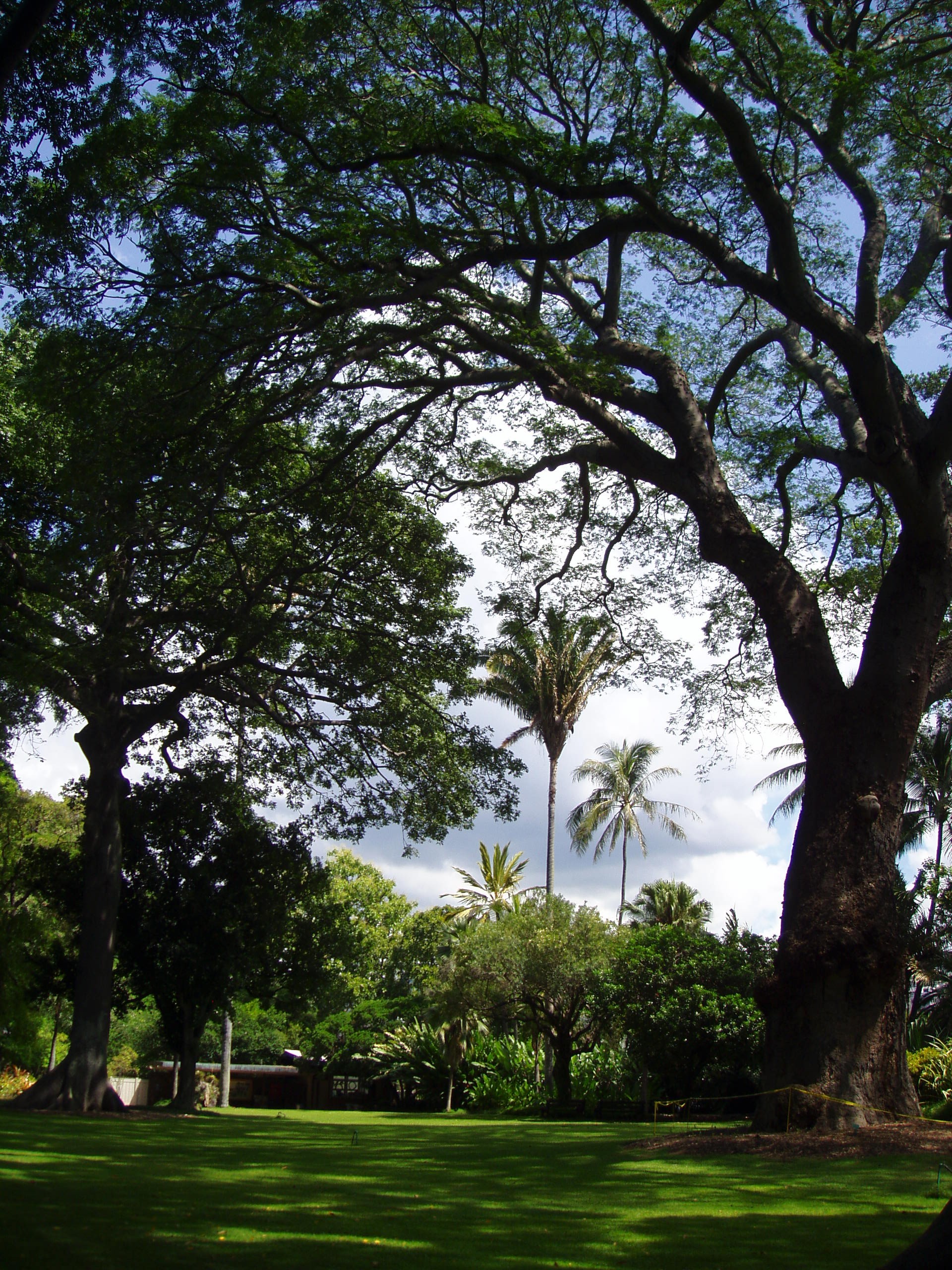 Archivo: Foster Botanical Garden (general view) - Honolulu, HI