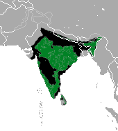 Distribución actual (verde) e histórica (negro)