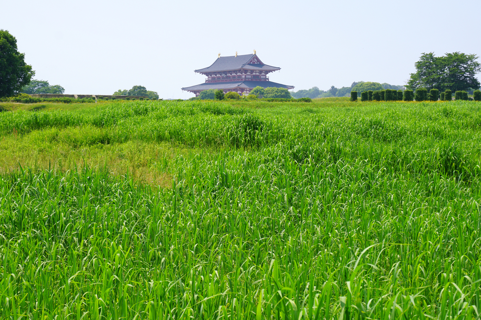 140531 Heijo-kyo Nara Japan01bs.jpg