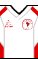 Kit body americadecali 2024-II A.png