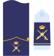 Captain general of the Air Force 5a
