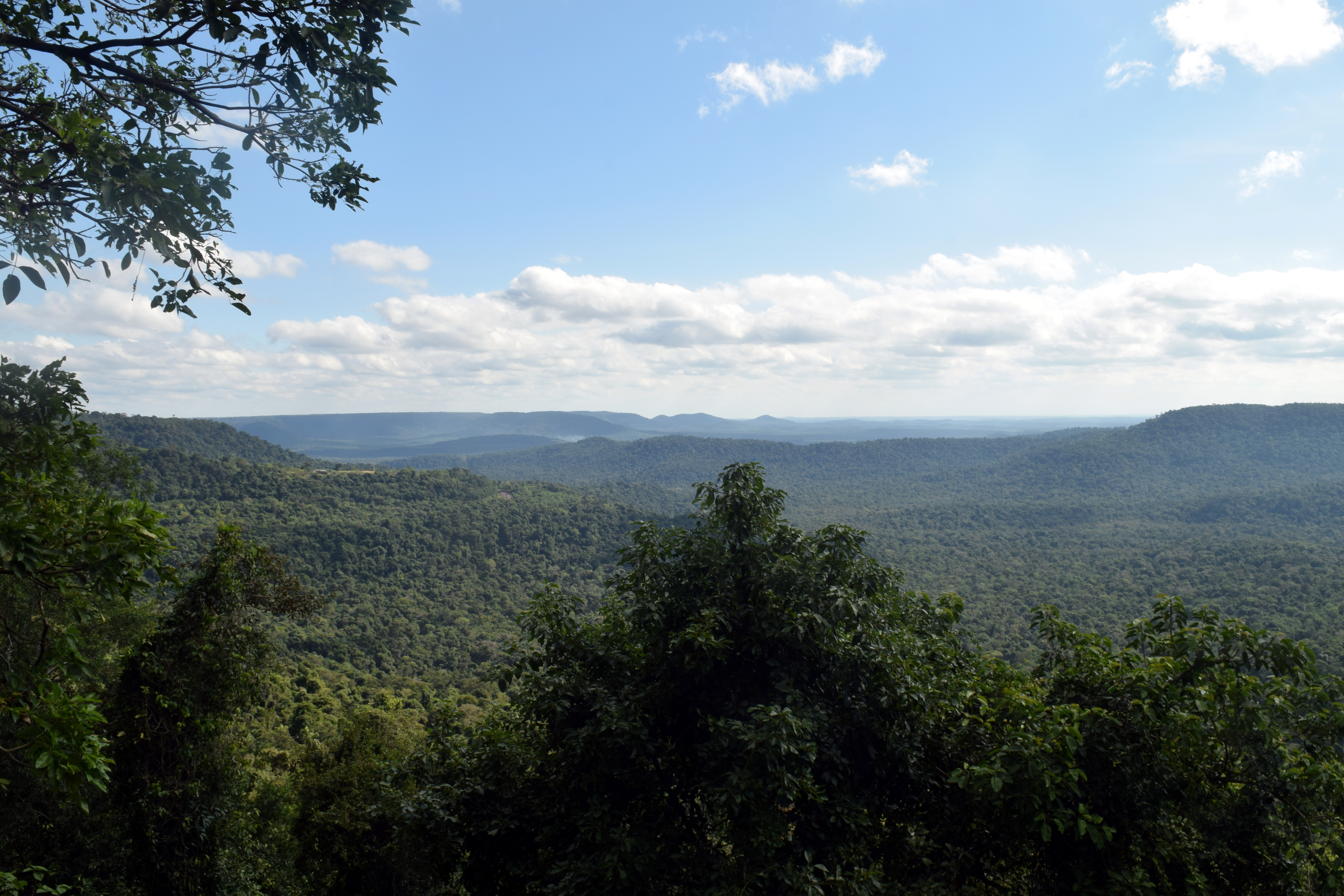 Misiones - Parque provincial Salto Encantado desde ruta 7.jpg