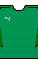 Kit body pumacup2122g.png