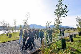 Archivo:Arboretum Quilaco