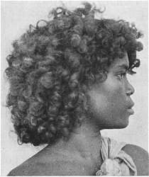 Archivo:Hair-curly