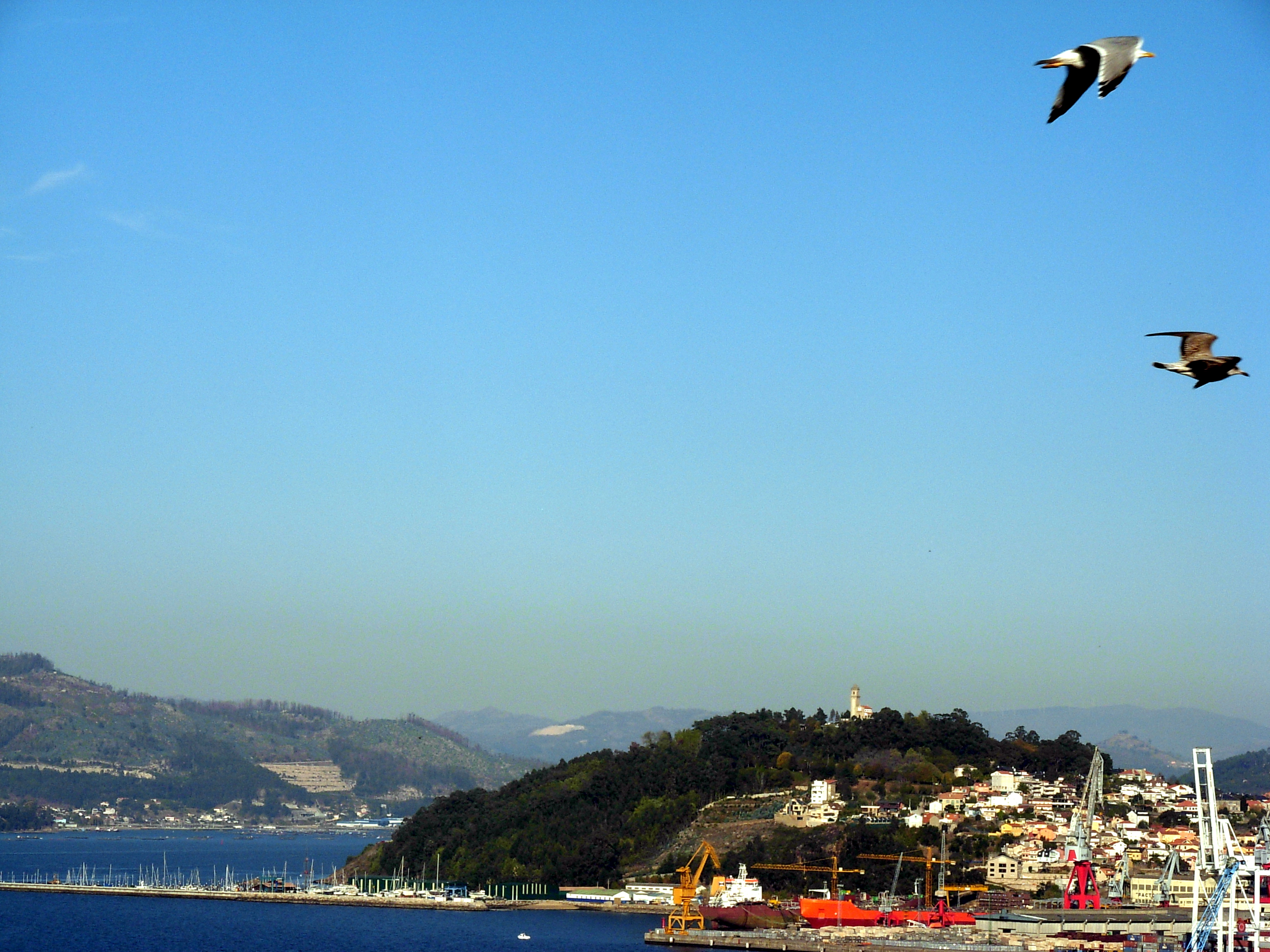 La Guia Vigo - panoramio.jpg