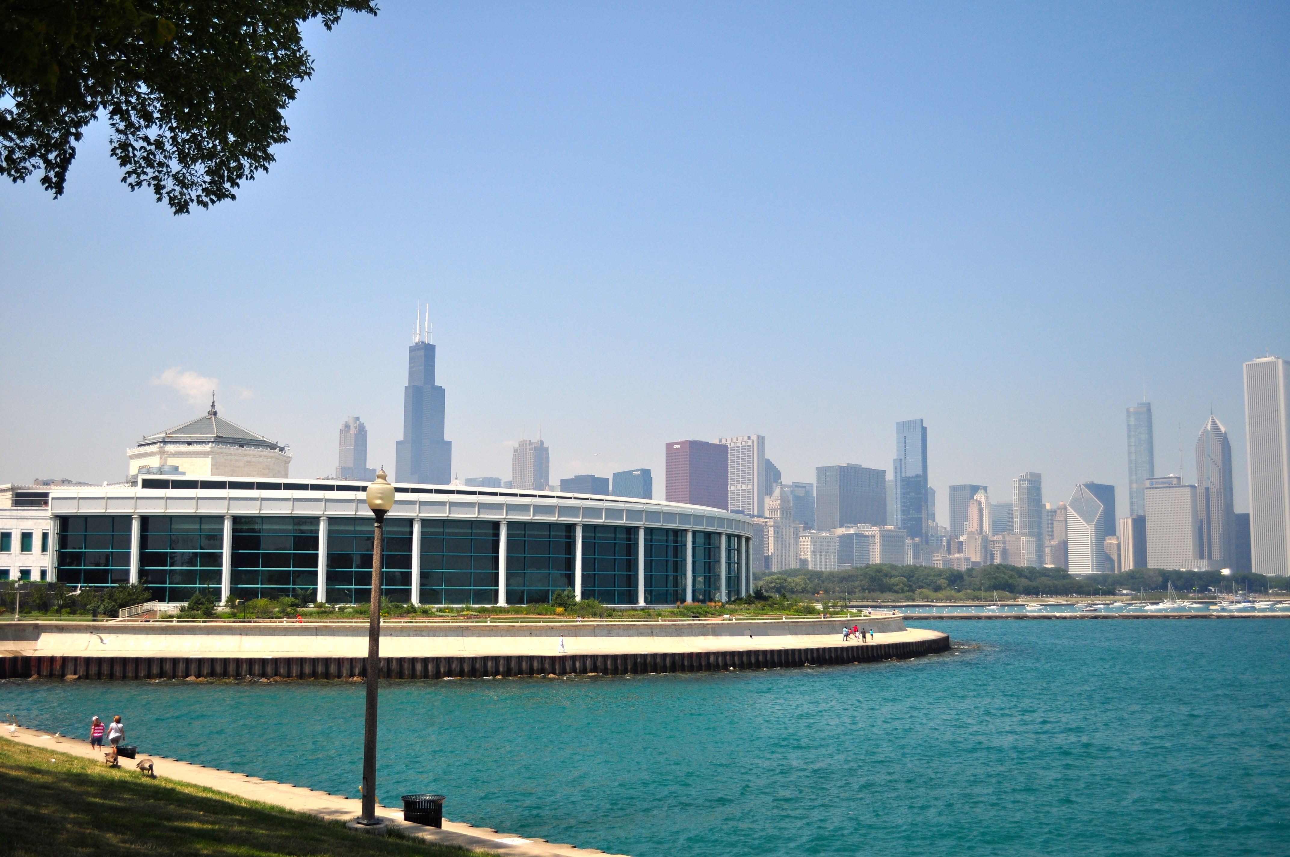 The Shedd Aquarium - 7714039518.jpg
