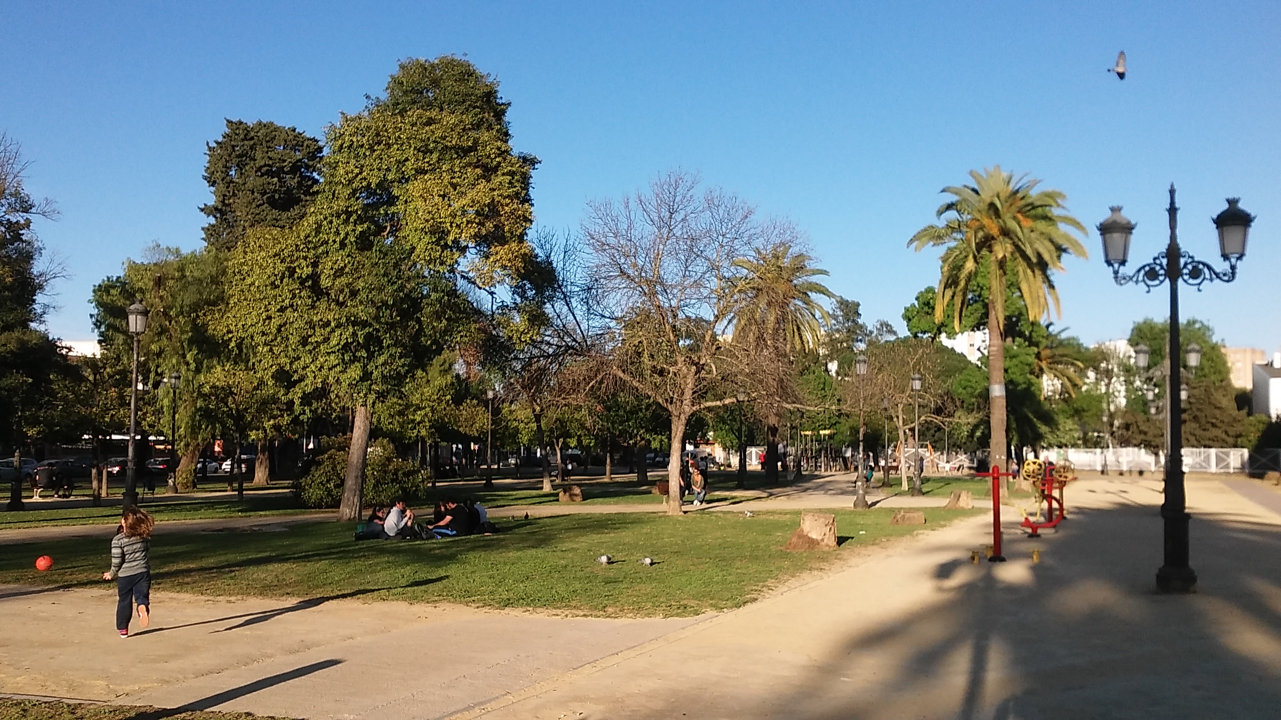 Parque de El Retiro en Jerez de la Frontera - 20170312 182727.jpg