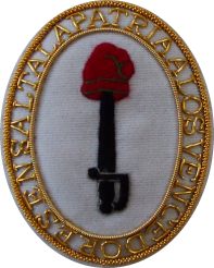 Archivo:Escudo honorifico de la batalla de Salta