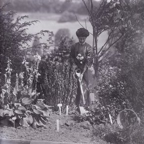 Archivo:Vida Goldstein planting in 1911