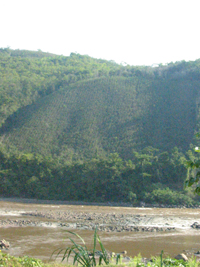 River mayo, peru.jpg