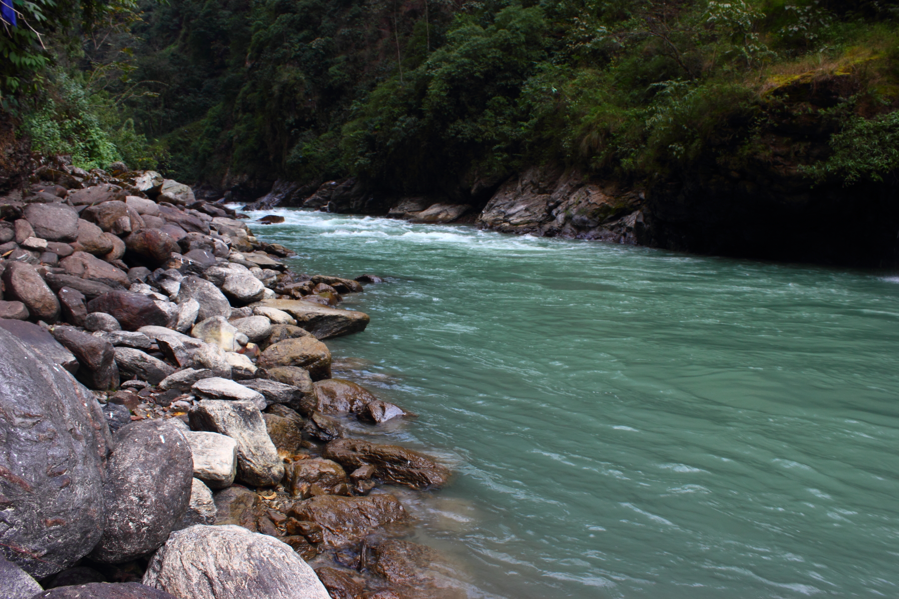 Koshi or Kosi River Nepal tributary of Ganges River in Bihar India.jpg