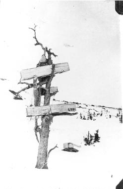 Archivo:Inuit tree burial