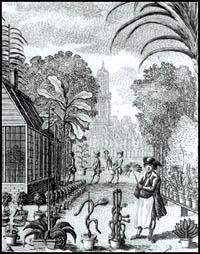 Archivo:Jardins botaniques de Sonnenborgh