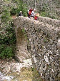 Archivo:Pont de Salgueda DSCN1062